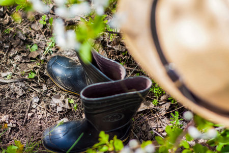 In the garden, on a tree with white cherry blossoms, there is a garden hat, and under it are boots. Gardening and gardening, Active recreation in the countryの写真素材