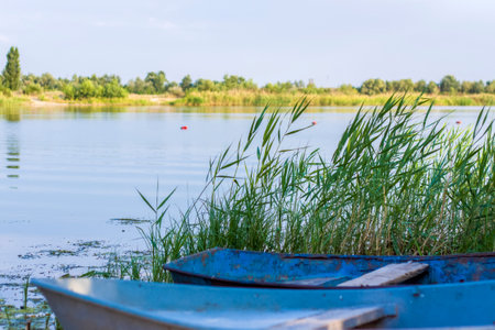 An old iron boat by the river. Reeds on the river under the sun. summer landscape with boats, close-up on the backgroundの写真素材