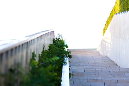 Beautiful design of stairs in the park. Plants decorate the staircase.