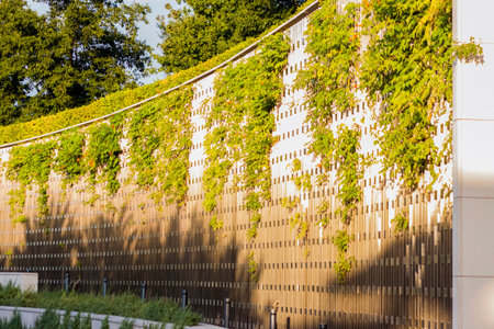 A high beautiful fence that wraps around green weaving plants. Decorations in the park.