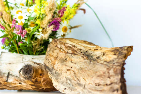 a dry stump, tree bark and a bouquet of wild flowers in a small glass vase. Stylish appearance, layout, personality. Banner, a place for the text. Background for advertising and presentation.の写真素材