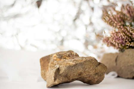 A gentle background for the presentation. Stones and small pink flower buds. Stylish appearance, layout, personality. Banner, a place for text. selective focus. The concept of cosmetics for care.の写真素材