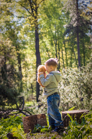 A cute boy is playing with a bear cub in the forest. The sun's rays envelop the space of the clearing with a stump. A magical story of interactions for the book. Space for copying. selective focus.の写真素材
