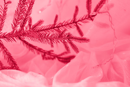 Christmas background with a twig if . selective focus. the concept of Christmas and New Year. background for the banner.Viva Magenta Background colorの写真素材