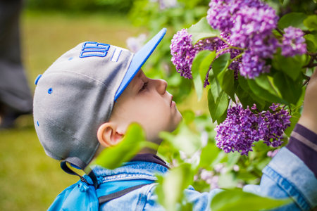 The boy sniffs a lush branch of lilac. close-up portrait. natural wallpaper. selective focus.の写真素材