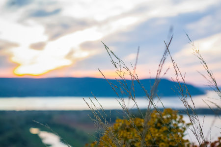 Summer abstract nature background with grass in the meadow and sunset sky behind. natural landscape. Macro photography of blades of grass. landscape during sunset.の写真素材