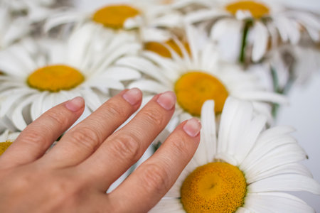 A woman's hand touches a daisy. Medium plan, selective snapshot. selective focus. The beauty industry. Summerの写真素材