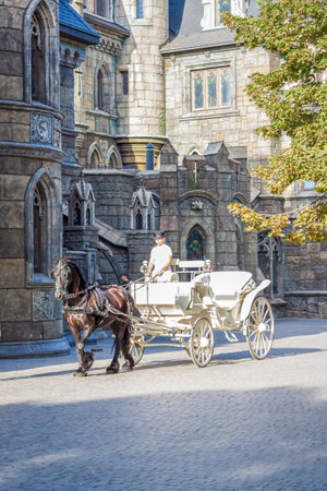 2022-08-16 Russia, Samara, Garibaldi Castle Tourist Center in the village of Khryashchevka, Samara region. The rider drives the carriage around the Castle.のeditorial素材