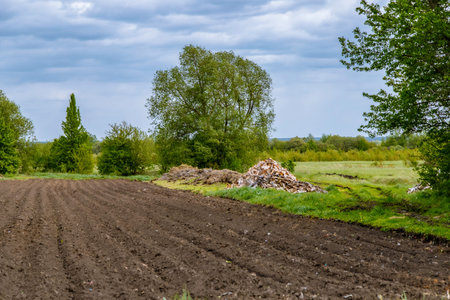 A rustic landscape. The ground is prepared for planting. Spring planting of potatoes. Beds for planting potatoes.の写真素材