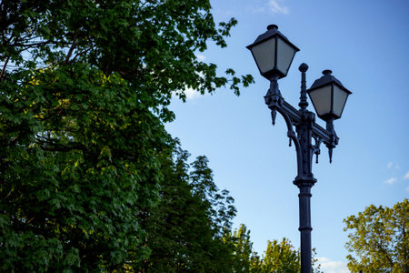 A black vintage street lamp with two lanterns towers beside lush green trees under a clear blue sky. Sunlight gently illuminates the leaves and the lamp post, creating contrastsの写真素材