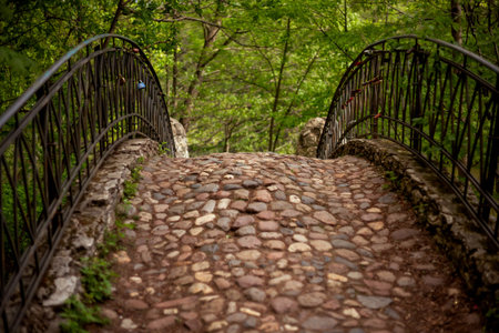Arched stone bridge with intricate iron railings, surrounded by lush green foliage. Tree branches form a natural canopy, casting shadows on the weathered cobblestone path belowの写真素材