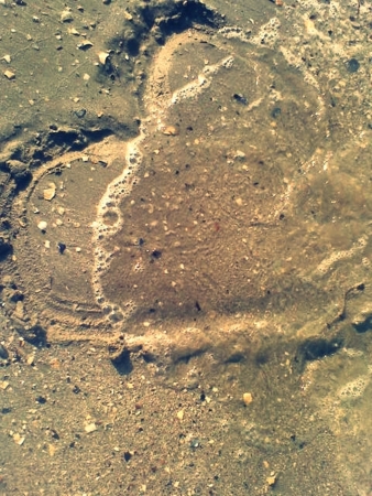 Beautiful heart on the golden sandの写真素材