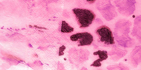 Animal Textile Background. Red African Print Wallpapers. Pink Animal Skin Pattern. Romantic Skin. White Line Art Design. Jungle Skin Pattern.の写真素材