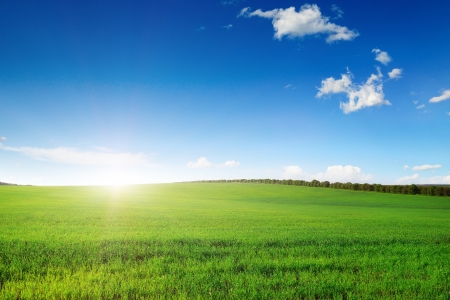 Dawn in the fieldの写真素材
