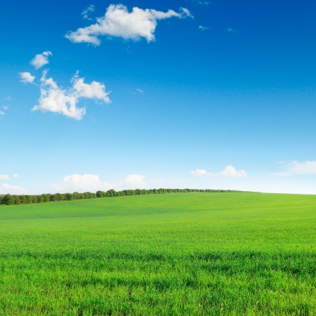 The picturesque landscapeの写真素材