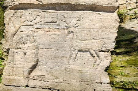 ancient rock drawings of animalsの写真素材