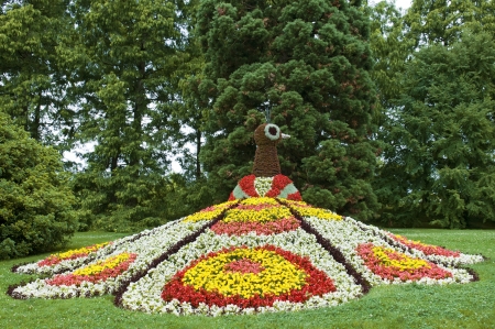 flower bed in the form of a peacockの写真素材