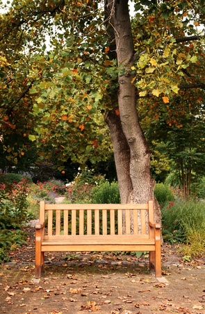 bench in autumn parkの写真素材