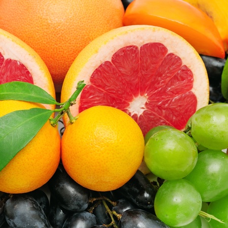 collection fruit backgroundの写真素材