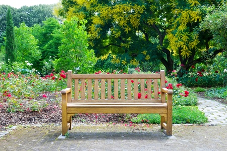 wooden bench in the parkの写真素材