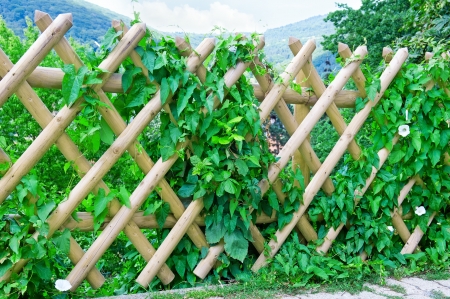 wooden fenceの写真素材