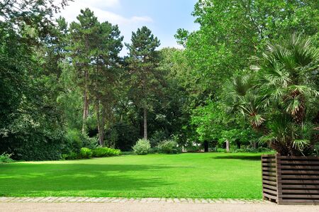 beautiful park and  green lawnsの写真素材