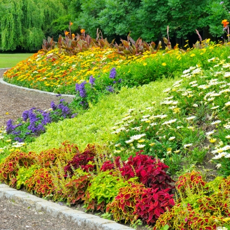 delightful flower bed in the summer park                                                                        の写真素材