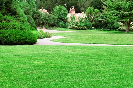 summer park with beautiful green lawnsの写真素材