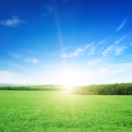 sunrise over a green fieldの写真素材