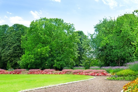 Summer garden with lawn and flower gardenの写真素材