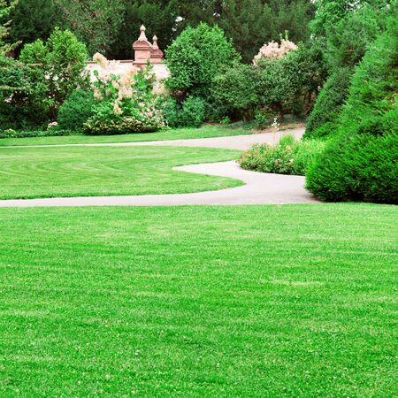 summer park with beautiful green lawnsの写真素材