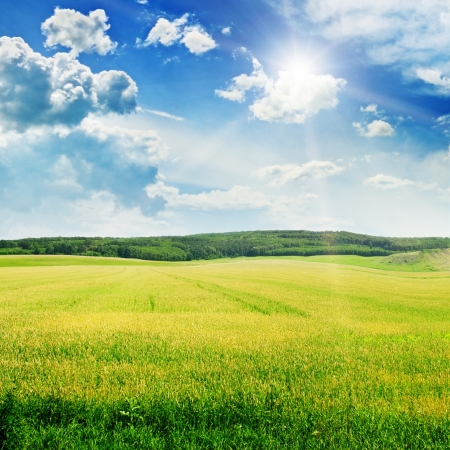Beautiful sunset on spring fieldの写真素材