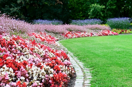 bright flower bed and green grass in the summer parkの写真素材