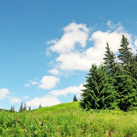scenic mountain peaks against the blue skyの写真素材