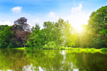 scenic lake in the summer parkの写真素材