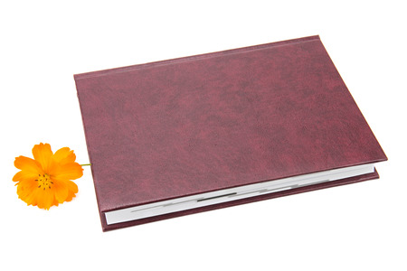 Book and flower isolated on white backgroundの写真素材