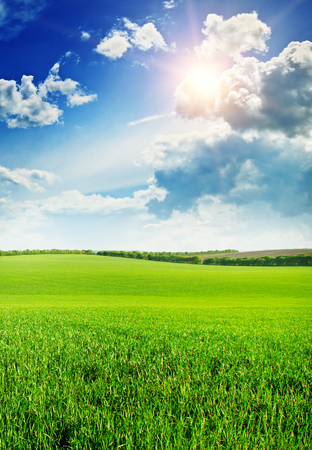 Beautiful sunset on spring fieldの写真素材