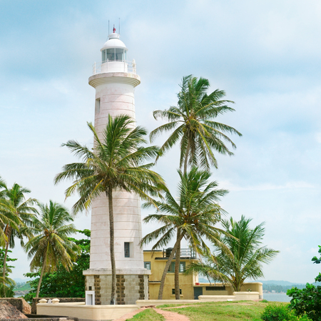 Lighthouse and palm trees in the town of Galle, Sri Lankaの写真素材