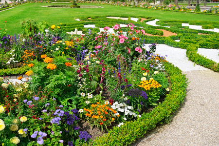 delightful flower bed in the summer parkの写真素材
