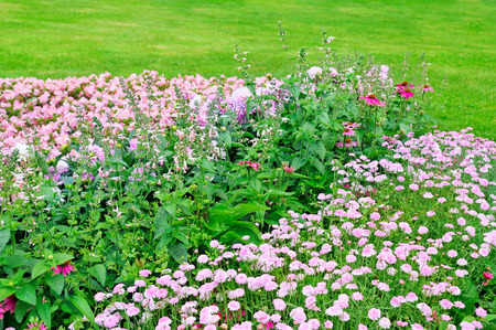 Beautiful flowerbed in summer parkの写真素材