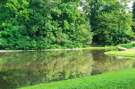 scenic lake in the summer parkの写真素材