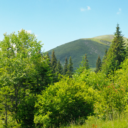 scenic mountain peaks against the blue skyの写真素材