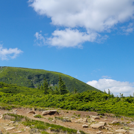 Mountain view from the top of Goverli, Carpathiansの写真素材