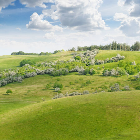 landscape with hilly field and blue skyの写真素材