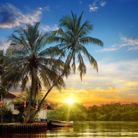 river, beautiful sunrise and tropical palmsの写真素材