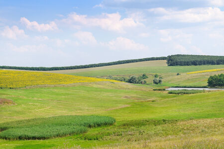 green field and blue skyの写真素材