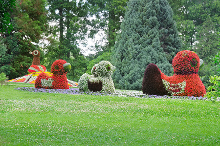 flower bed in the form of ducks in the parkの写真素材
