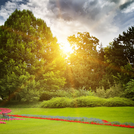beautiful summer park and sunriseの写真素材