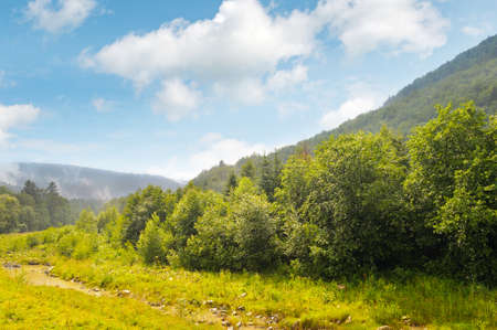 picturesque mountain valley and creekの写真素材