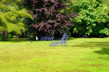 summer park with green lawnの写真素材